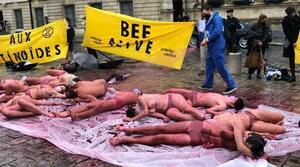 « BEE ALIVE » : pour l'interdiction définitive des néonicotinoïdes en France