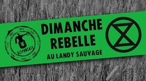 Dimanche Rebelle au Landy Sauvage : Campagne Glyphosate + XR