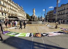 1300 mètres de pub sur la Place de la Comédie à Montpellier ?