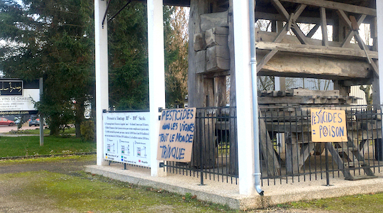 En décembre, vins, champagnes ? Pesticides dans les vignes : tout le monde trinque !