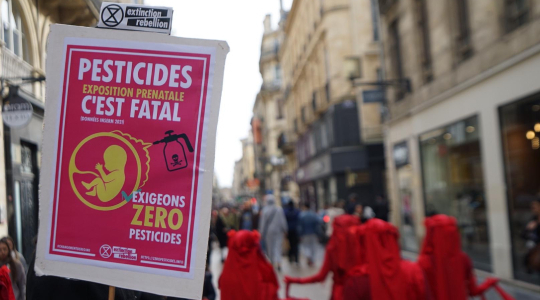 Le 8 mars : journée internationale des droits des femmes, impact des pesticides sur la santé des femmes et des minorités de genre concernées.