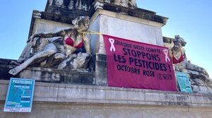 En octobre (rose), les rebelles visibilisent le lien entre pesticides et cancer du sein. 