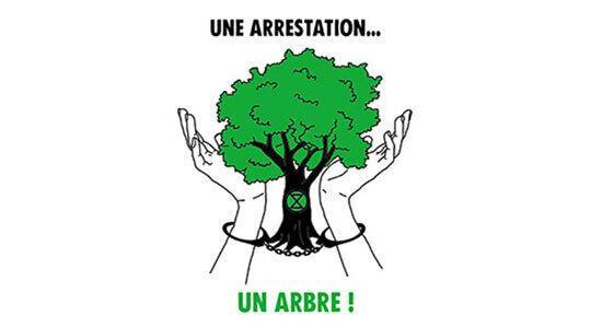 Une Arrestation... Un arbre 
