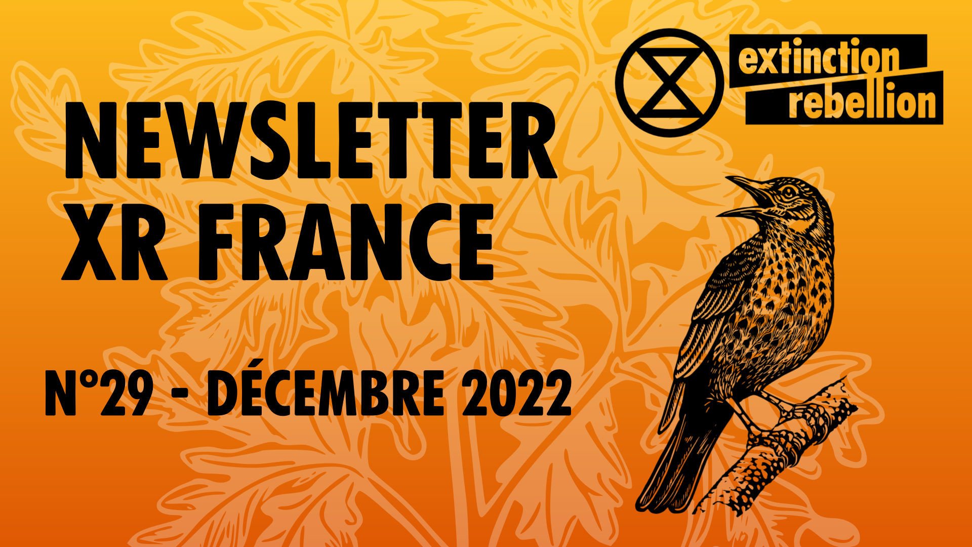 aktivisda 99756139 a349 45e1 97d2 66847ebf4f14 1 Newsletter XR France n°29 - décembre 2022