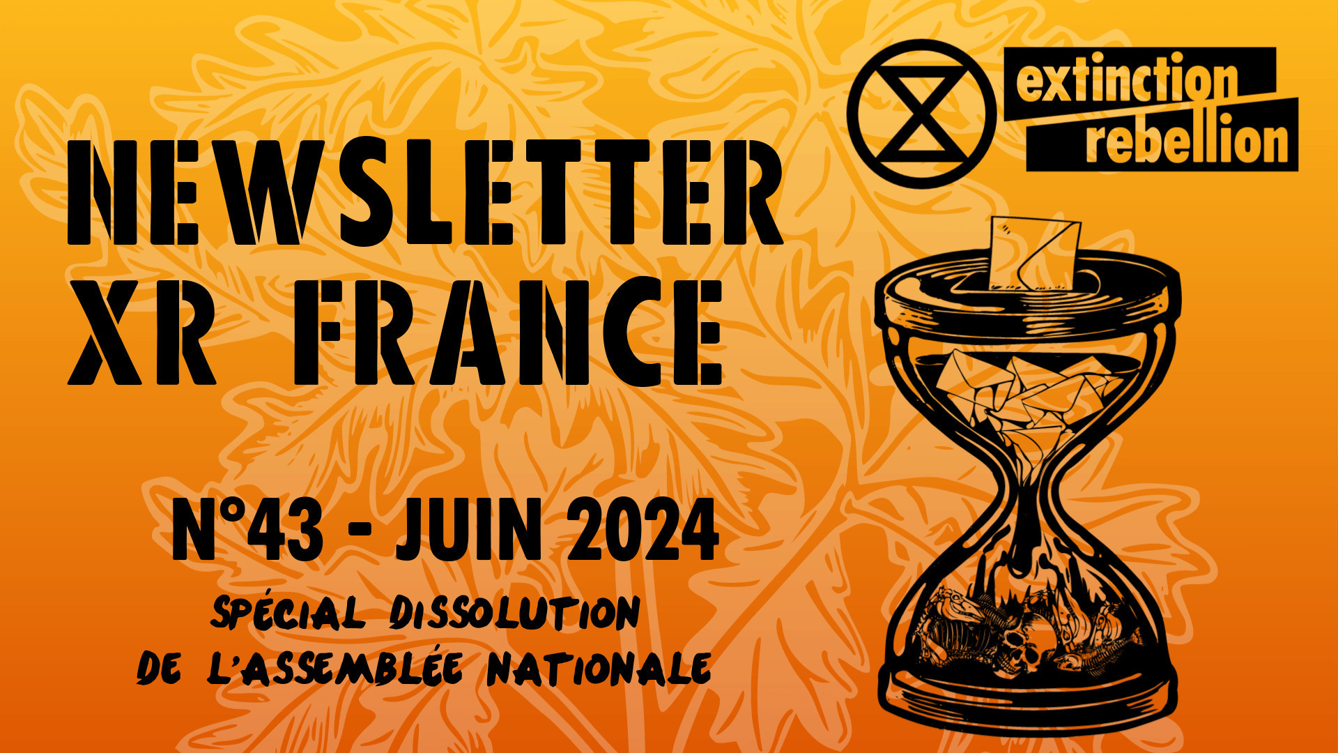 Newsletter Xr France N°43 - Juin 2024