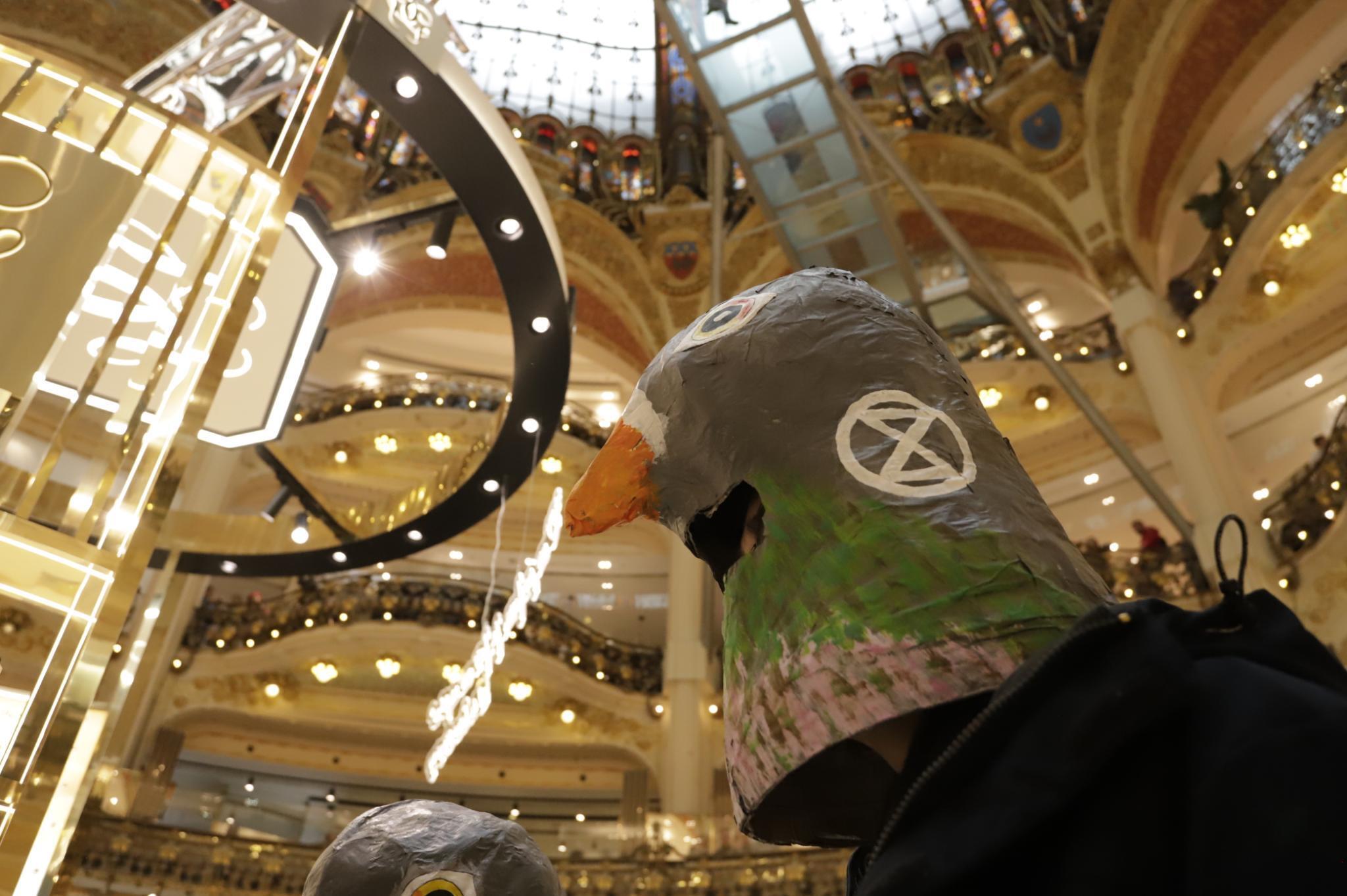 Surconsomation, ne soyons pas des pigeons !