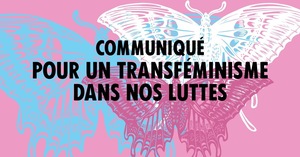  Communiqué pour un transféminisme dans nos luttes 