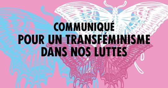 Communiqué pour un transféminisme dans nos luttes