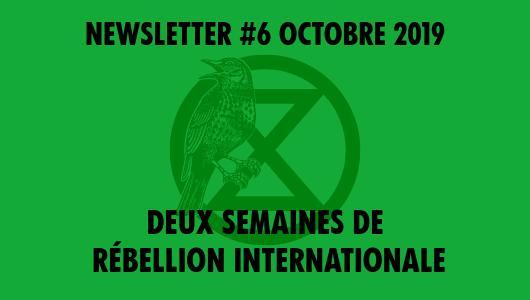 Lettre d'info #6 - Deux semaines de rébellion internationale